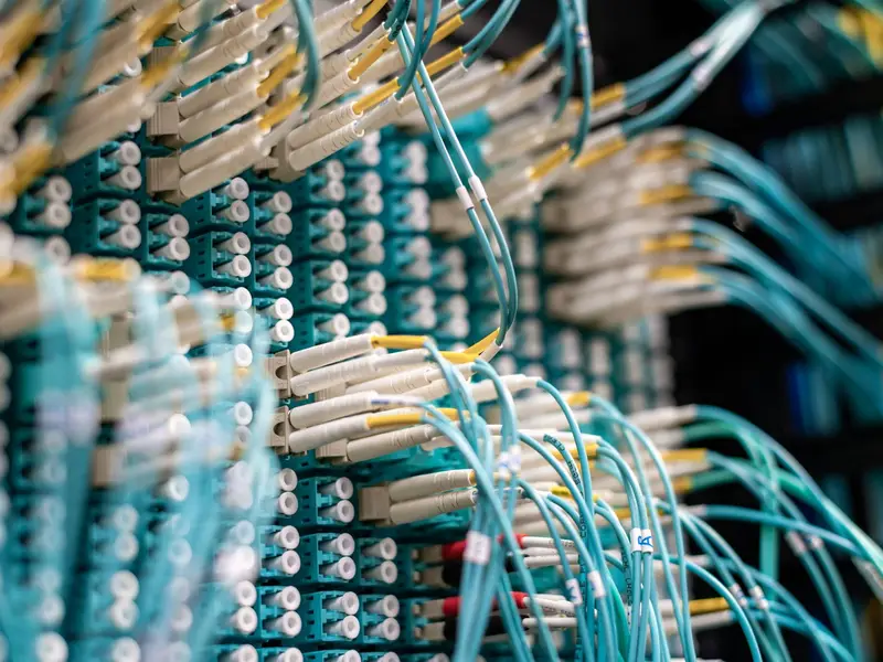 Dense rows of blue network cables plugged into a server rack in a data centre