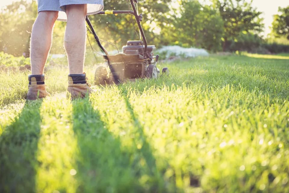 A gardener pushing a mower across a sunlit lawn.