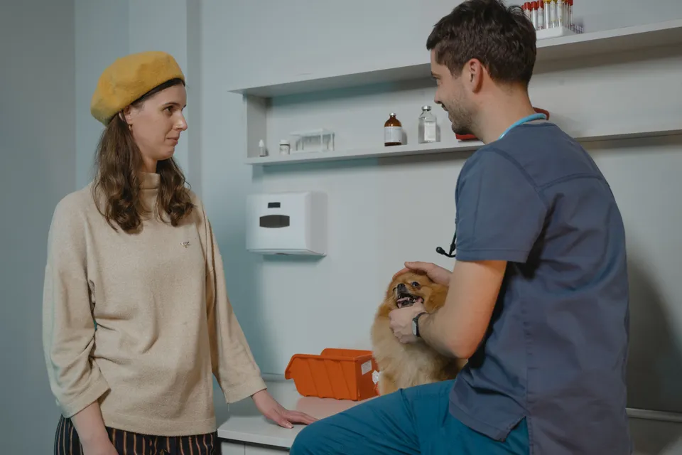 A vet talking with a dog owner in the consulting room, a small dog on the table.