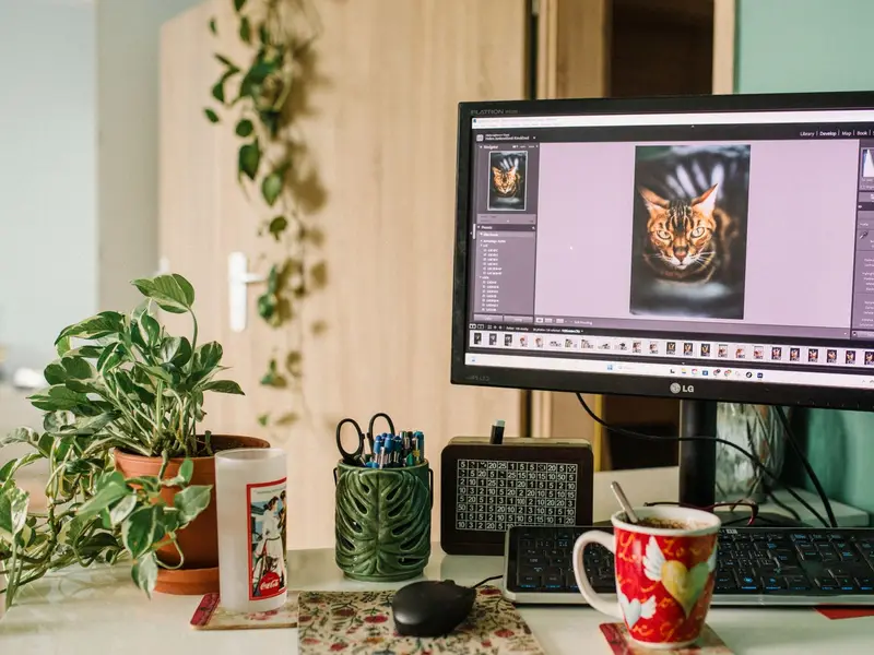 A desk with a monitor showing a photo of a cat open in photo-editing software